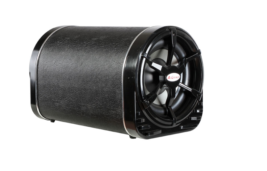 Dual 12-inch Woofer Multimedia Speaker with FM/USB/SD and Karaoke