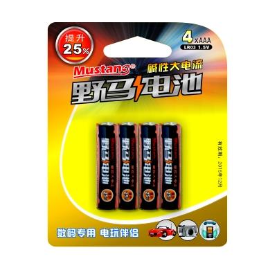 LR03 AAA Alkaline Battery 1.5V