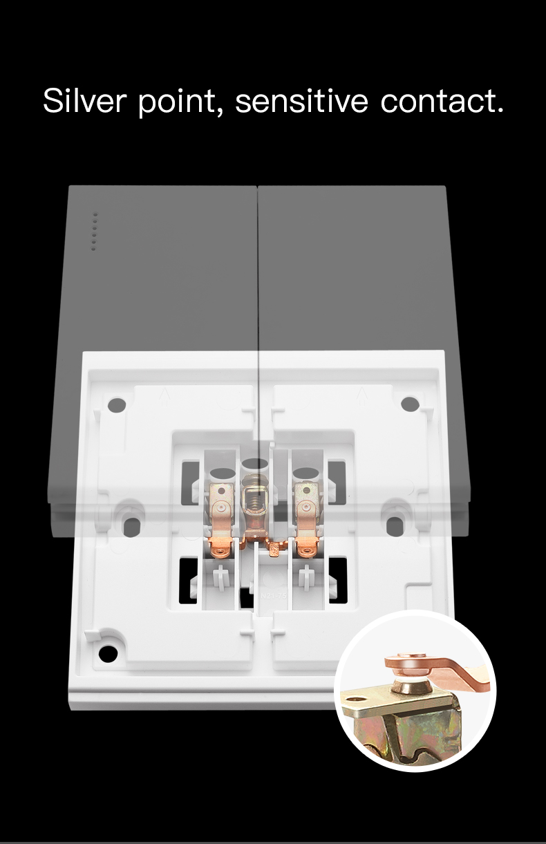 Internal mechanism of the switch showing silver point contacts