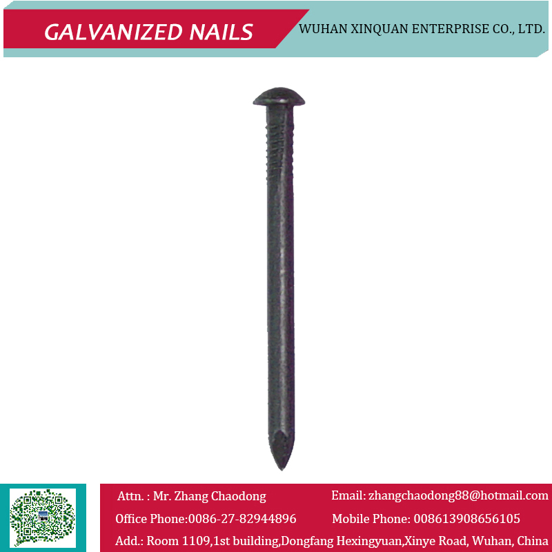 Galvanized Steel Nails for Construction
