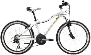 Children's Recreational Bicycle