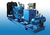 Natural Gas Generator Set