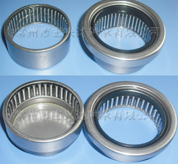 Needle Roller Bearing