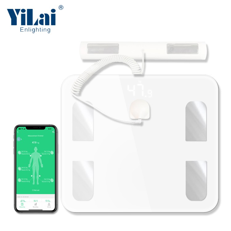 New arrival 8 electrodes body fat scale LED display Ailink APP electronic bluetooth scale - Image 2