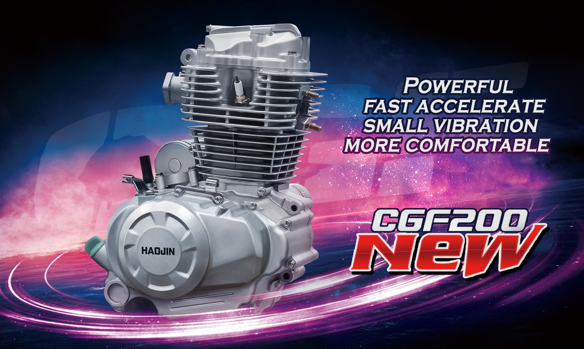 Motorcycle Engine with Internal Balance Shaft