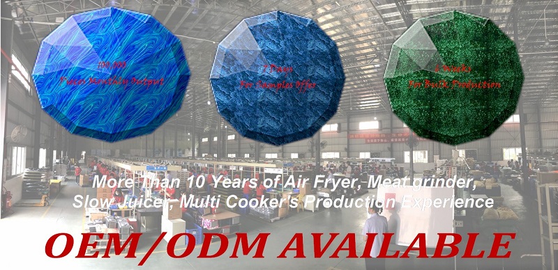 12L Air Fryer overview showing capacity and design
