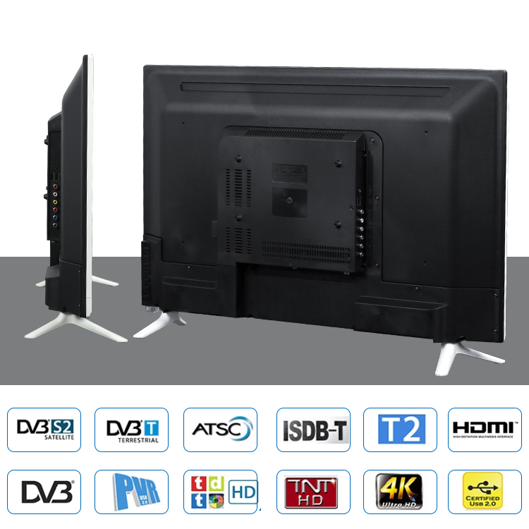 Graphic showing supported digital TV standards