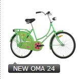 Mint Green Dutch-Style Step-Through Bicycle