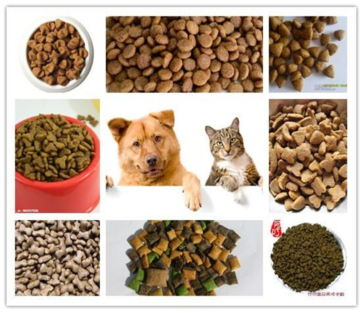 New Technology Pet Cat Dog Food Extrusion Machine - Image 3
