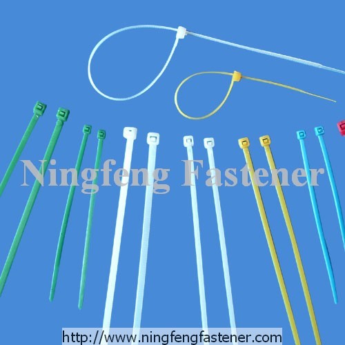 Cable Tie