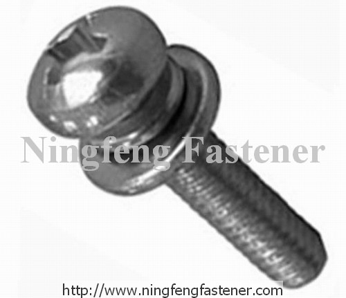 Combination Screw with Optional Washers
