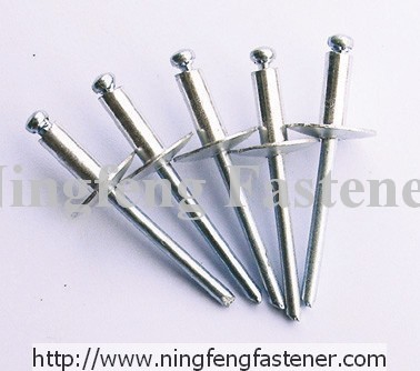 Large Flange Blind Rivets