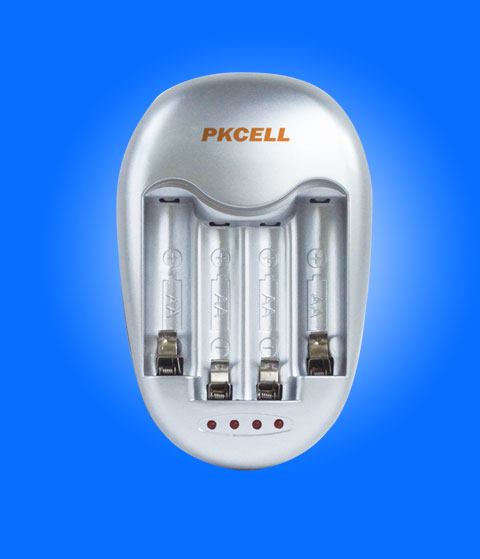 NiZn Battery Charger with Independent Slots