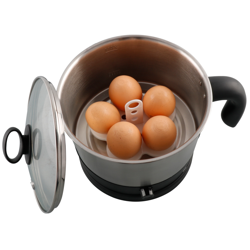 Electric Noodle Cooker Hot Pot