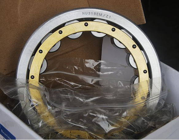 NU319 EM Cylindrical Roller Bearing