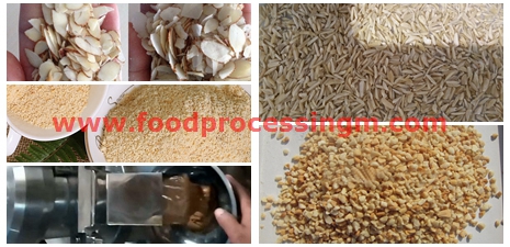 nut processing machinery china - Image 3