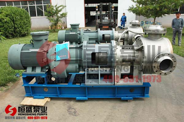 NYP magnetic drive internal gear pump unit