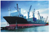 International Ocean Freight Service