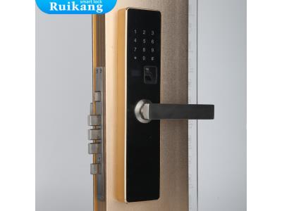OEM/ODM manufacturer password digital key card coded safe door automatic smart lock - Image 3
