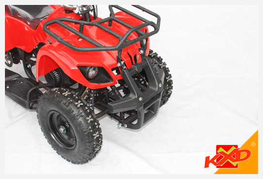 49cc Mini ATV Quad Bike for Kids