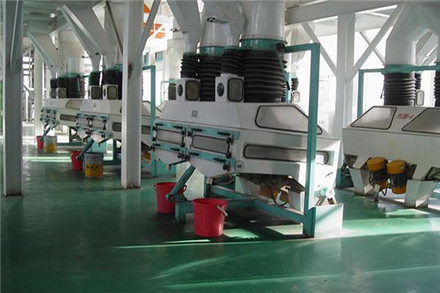 Cleaning and sorting equipment including aspiration systems and magnetic separators.