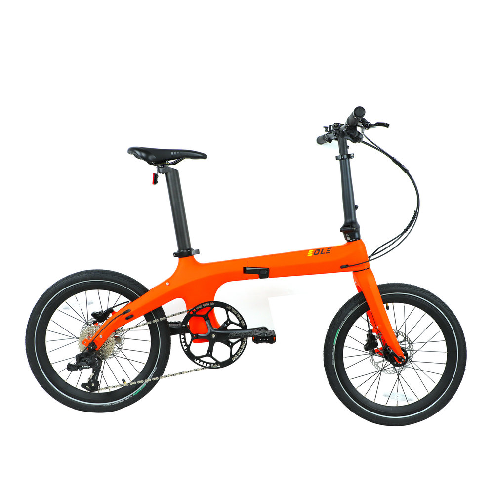 Carbon Fiber Folding Electric Bicycle