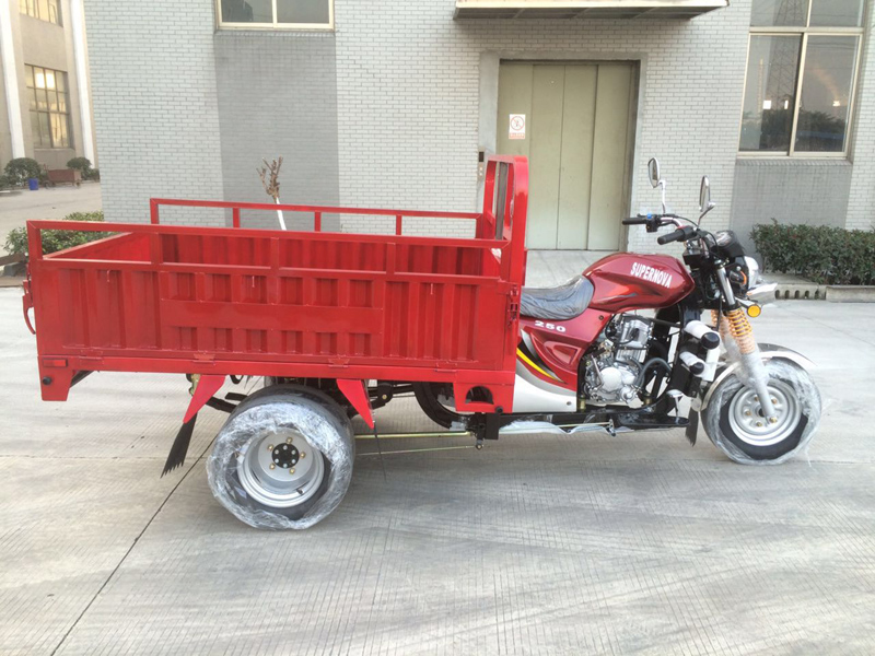 One Ton EEC Heavy Loading Cargo Tricycle with Double Rear Tyres - Image 3