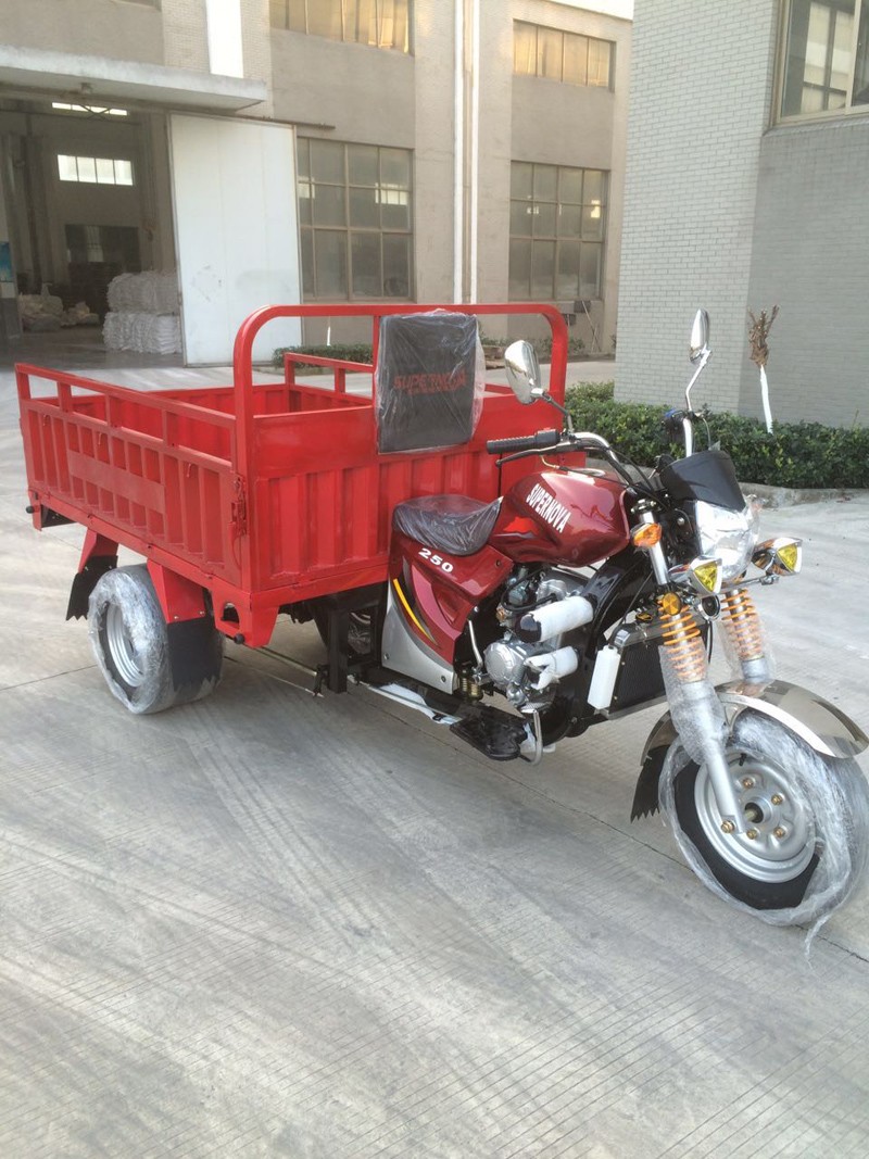 One Ton EEC Heavy Loading Cargo Tricycle with Double Rear Tyres - Image 2