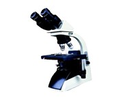 Binocular Microscope
