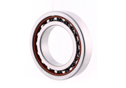 Rolling Element Bearing
