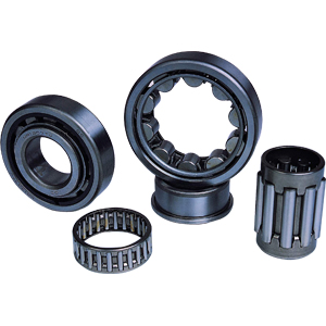 Automotive Bearings and Component Assortment