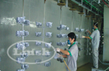 Automated Industrial Painting Line
