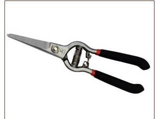 Floral Snips with Spring Assist