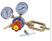 Gas Pressure Regulator with Dual Gauges