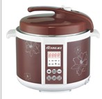 Electric Multi Cooker with Digital Display