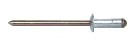 Blind Rivets for Motorcycle Parts
