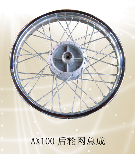 Motorcycle Rear Wheel Assembly with Spokes