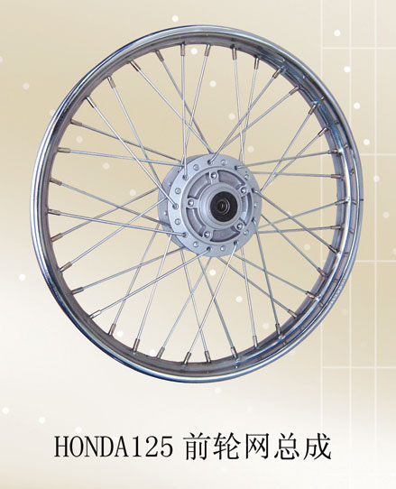 Motorcycle Spoked Front Wheel Assembly