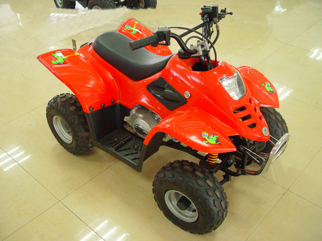 All-Terrain Vehicle (ATV)