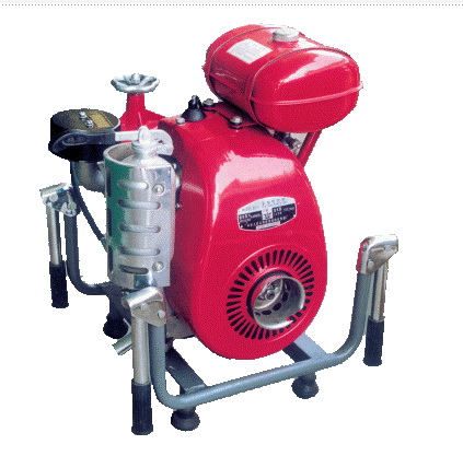 Portable Fluid Transfer Pump