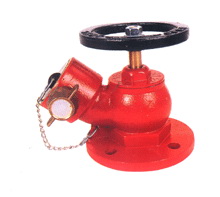 Angle Fire Hose Valve