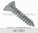Oval Head Self-Tapping Screw