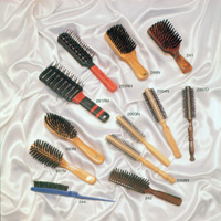 Assorted Hair Brush Set