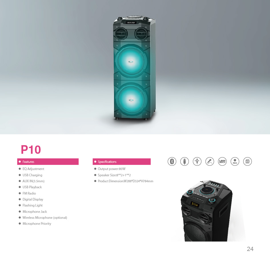 Karaoke Party Speaker with Flashing Lights