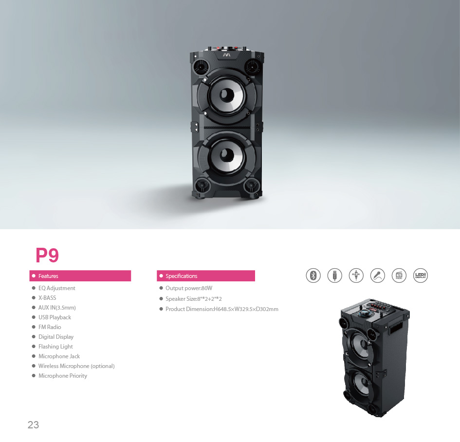 80W Portable Party Speaker with Dual 8-Inch Woofers