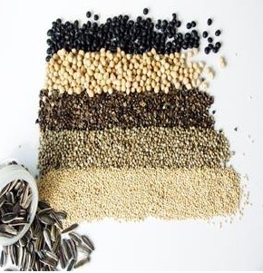 Automated Seed Packaging System