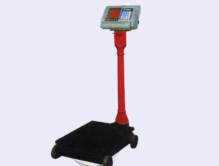 Industrial Floor Scale for Packaging
