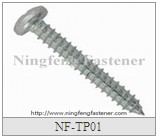 DIN1981 Pan Head Self-Tapping Screw