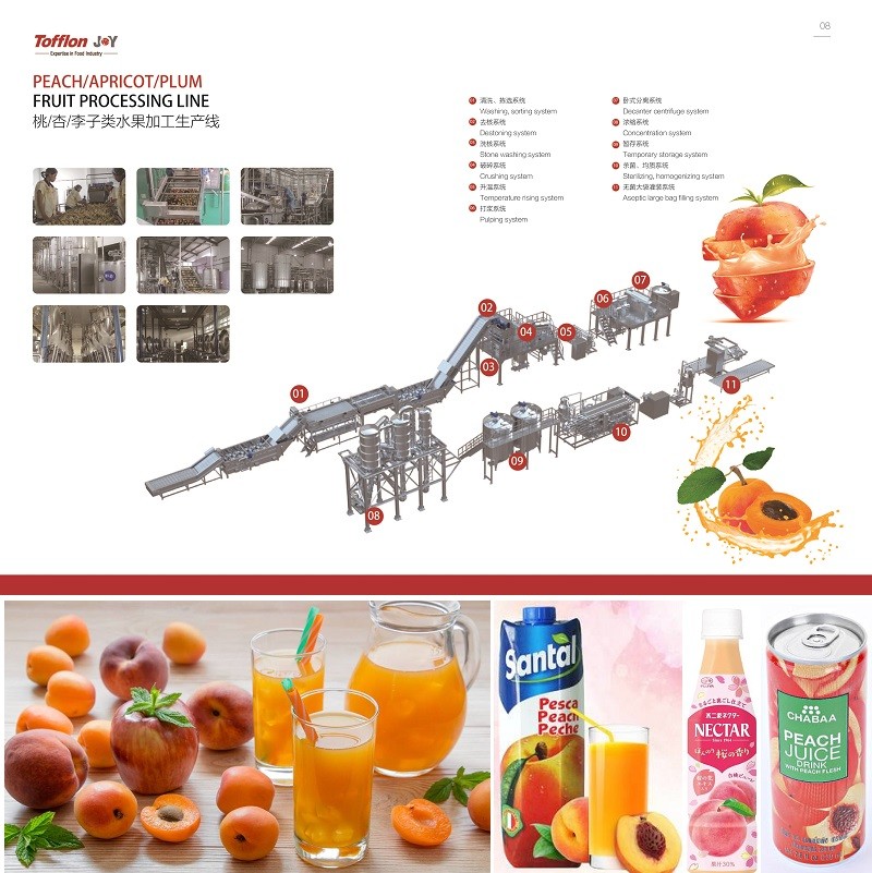 Peach / Apricot and Plum Processing Line - Image 3