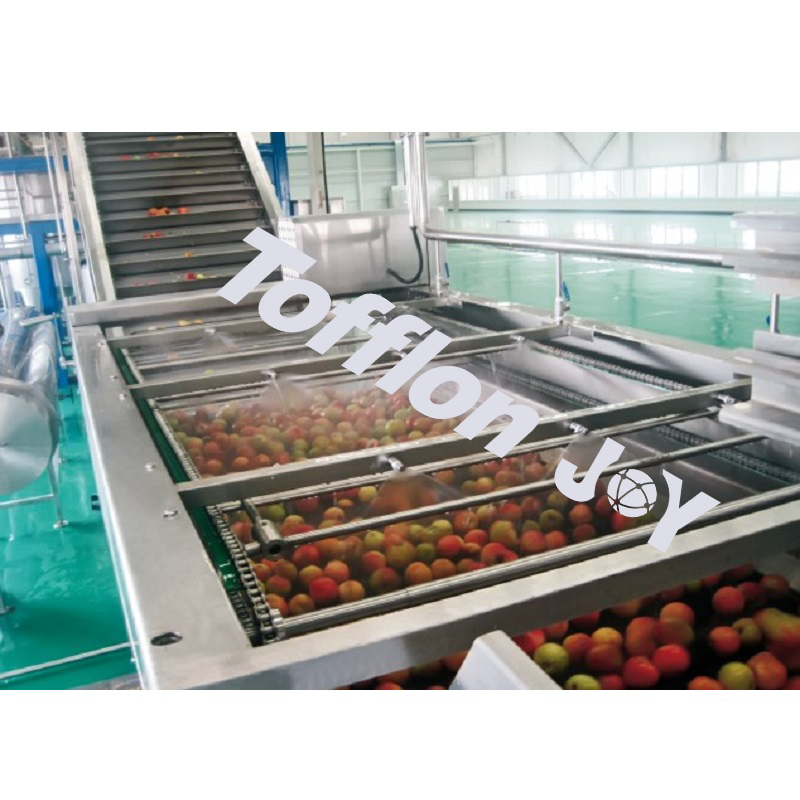 Peach / Apricot and Plum Processing Line - Image 2